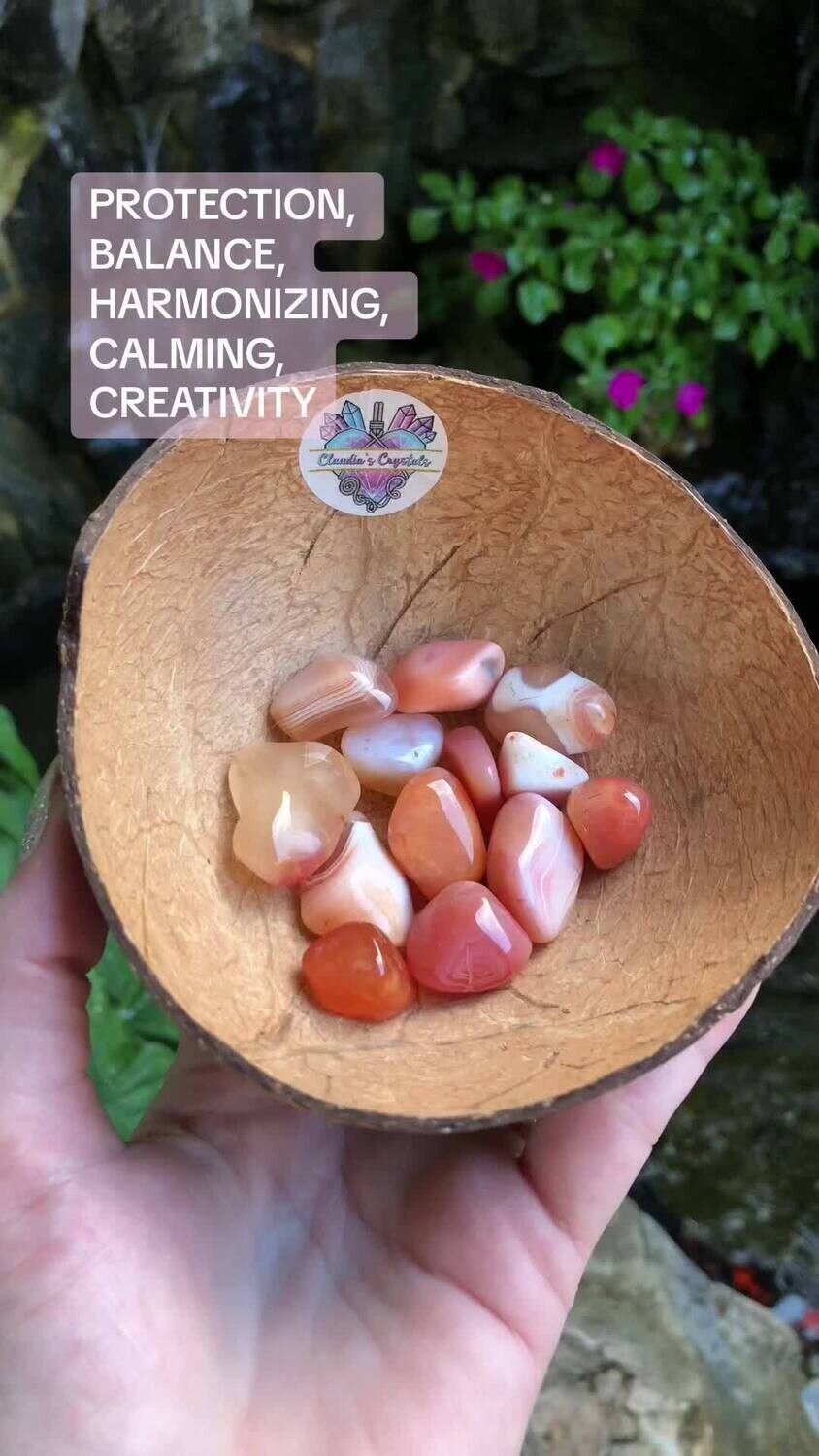 APRICOT AGATE - (Med)