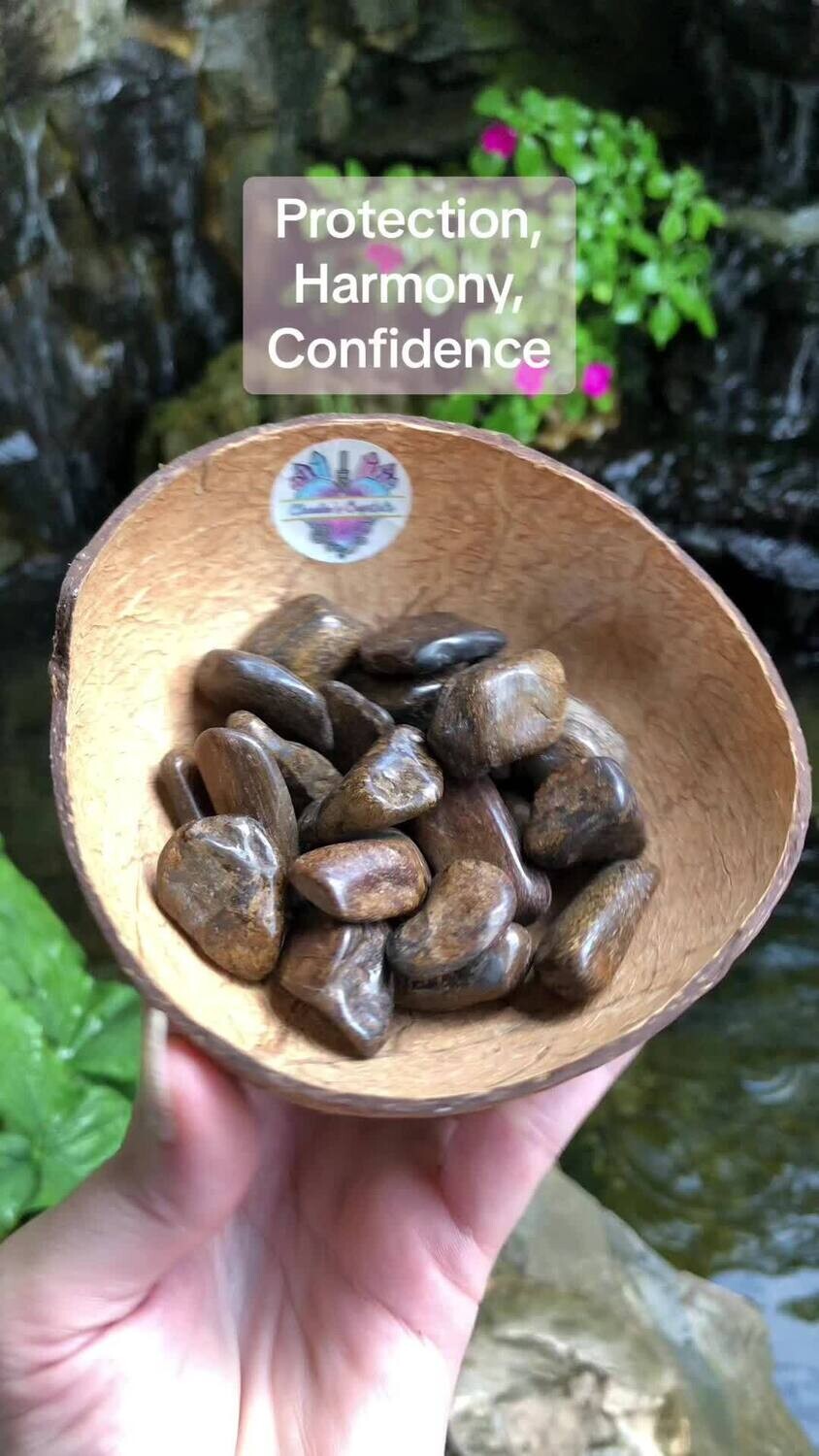 BRONZITE – Tumbled Stone – Medium