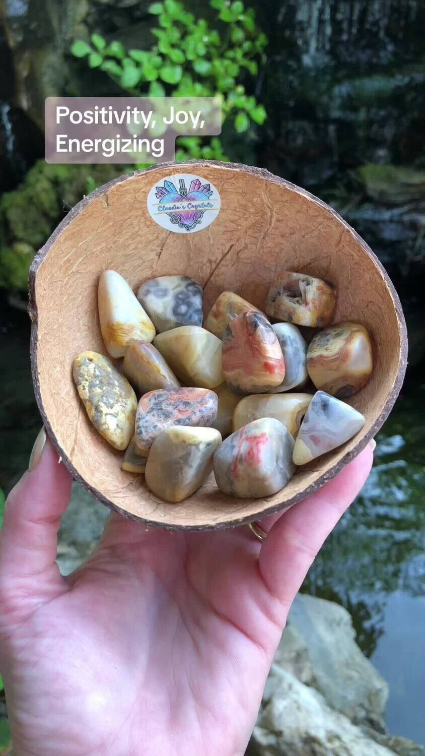 CRAZY LACE AGATE - (Med)