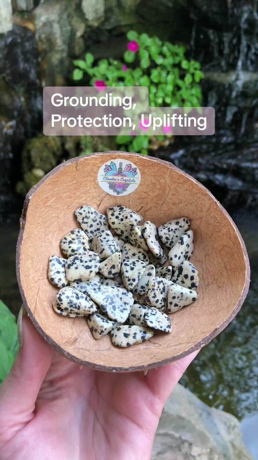 DALMATIAN JASPER - (Sm)