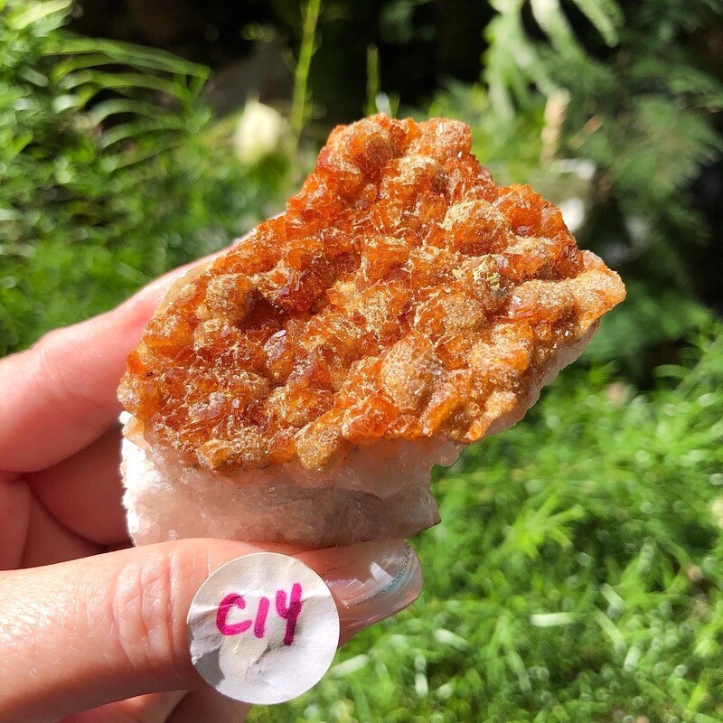 CITRINE