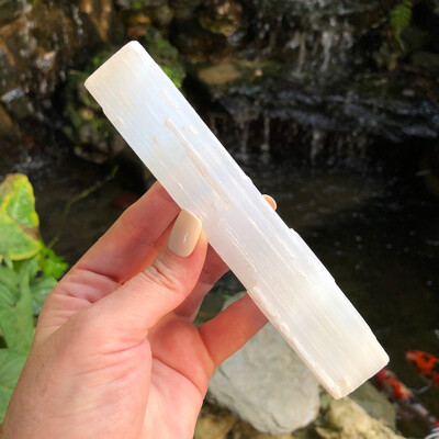 SELENITE LOG - S01