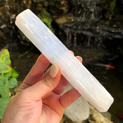 SELENITE LOG - S03