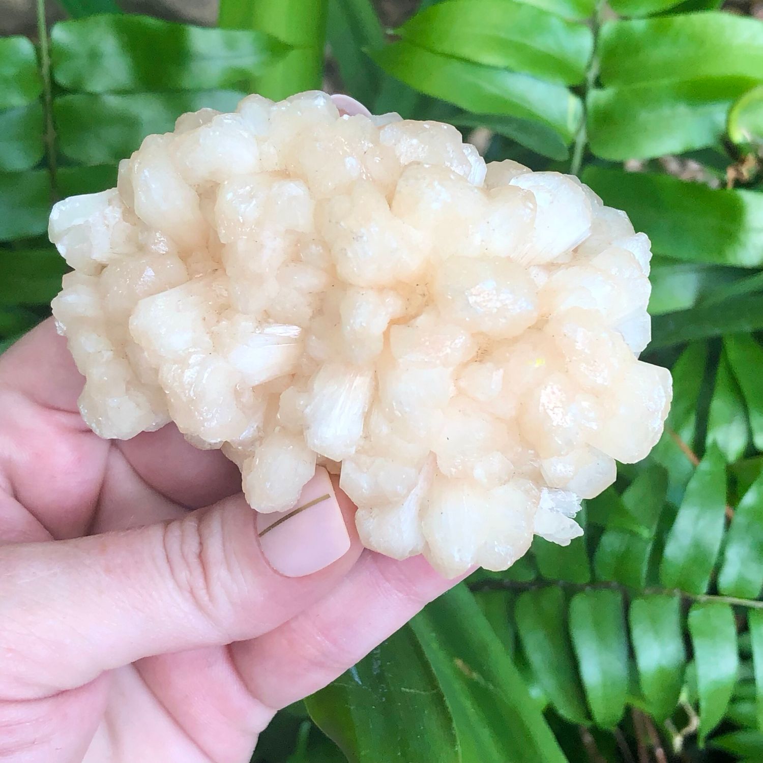 ZEOLITE SPECIMEN - PEACH STILBITE - 3&quot; - India