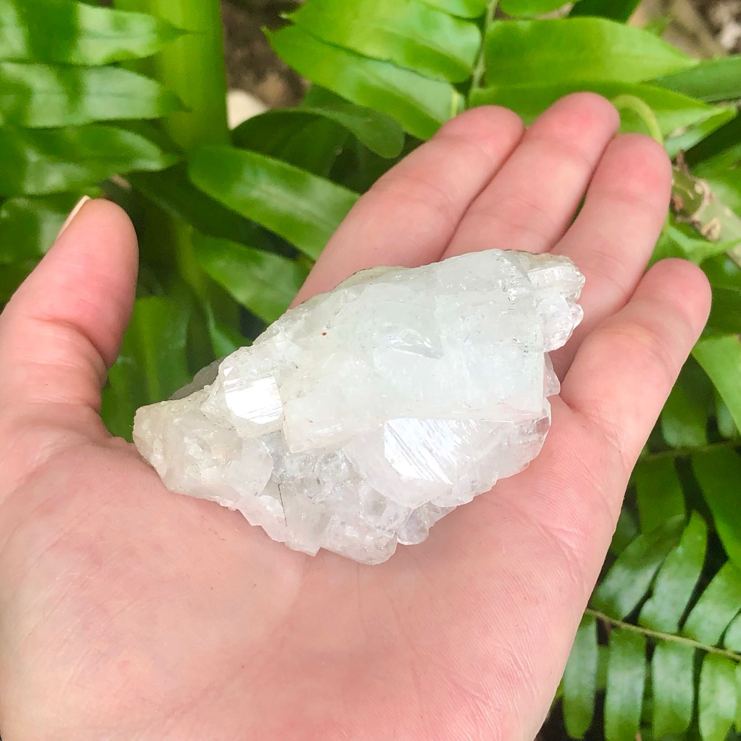 ZEOLITE SPECIMEN - APOPHYLLITE CLUSTER - 3&quot; - India