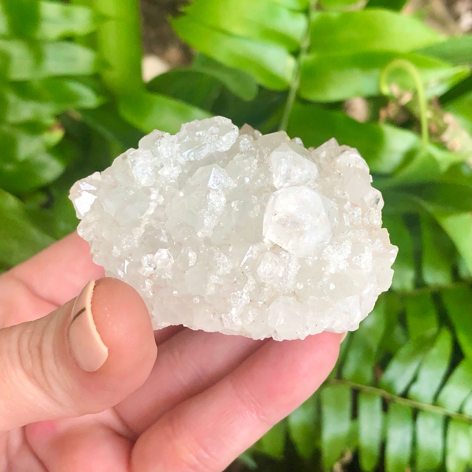 ZEOLITE SPECIMEN - APOPHYLLITE CLUSTER - 2.5&quot; - India