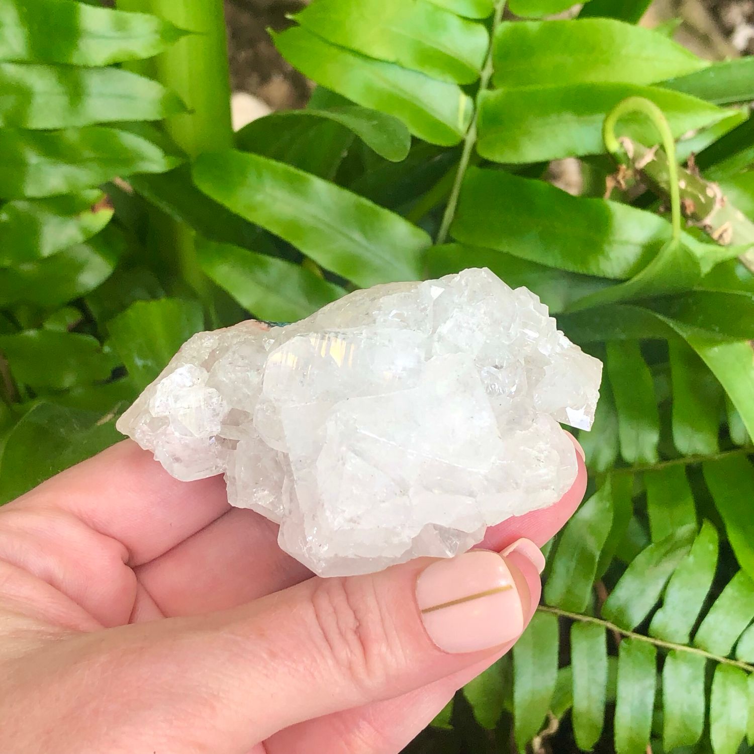 ZEOLITE SPECIMEN - APOPHYLLITE CLUSTER - 3&quot; - India