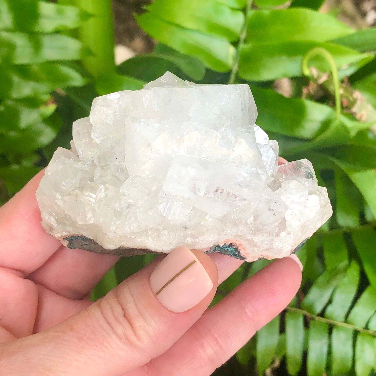 ZEOLITE SPECIMEN - APOPHYLLITE CLUSTER - 3&quot; - India