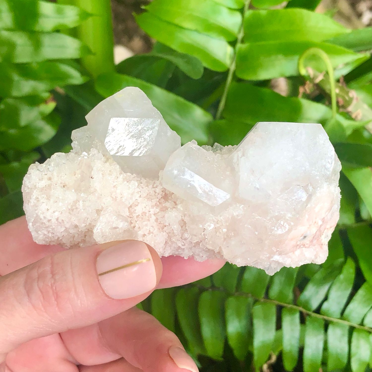 ZEOLITE SPECIMEN - APOPHYLLITE CLUSTER - 3&quot; India