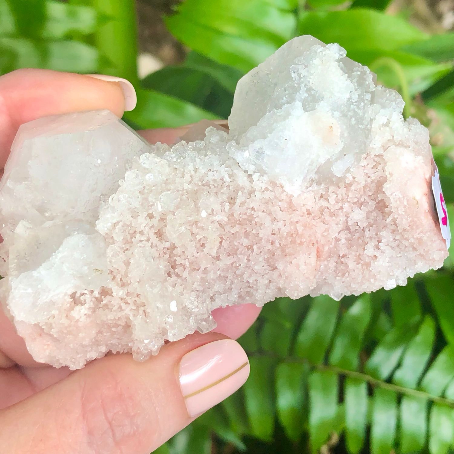 ZEOLITE SPECIMEN - APOPHYLLITE CLUSTER - 3&quot; India