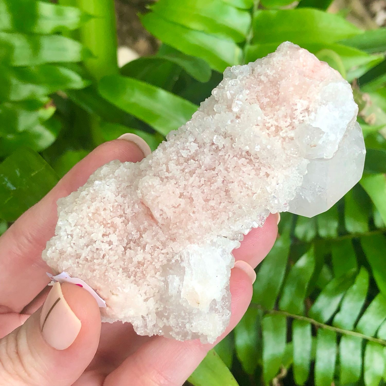 ZEOLITE SPECIMEN - APOPHYLLITE CLUSTER - 3&quot; India