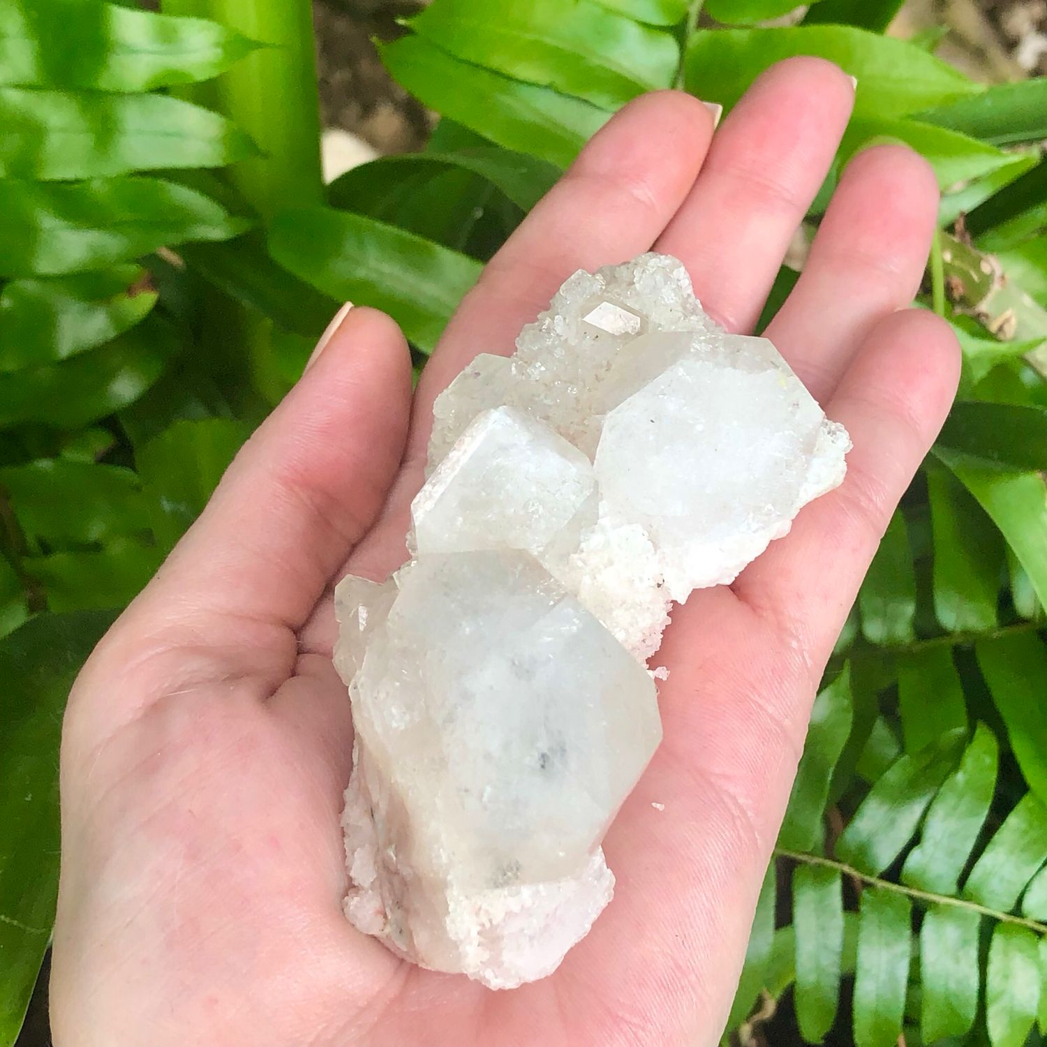 ZEOLITE SPECIMEN - APOPHYLLITE CLUSTER - 3&quot; India