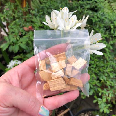 PALO SANTO - WOODEN CHIPS