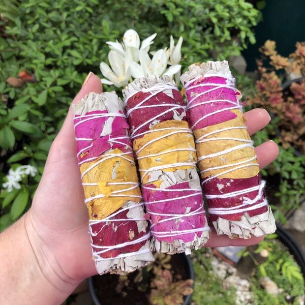 SAGE - WHITE SAGE &amp; ROSE PETALS - 4” Bundle