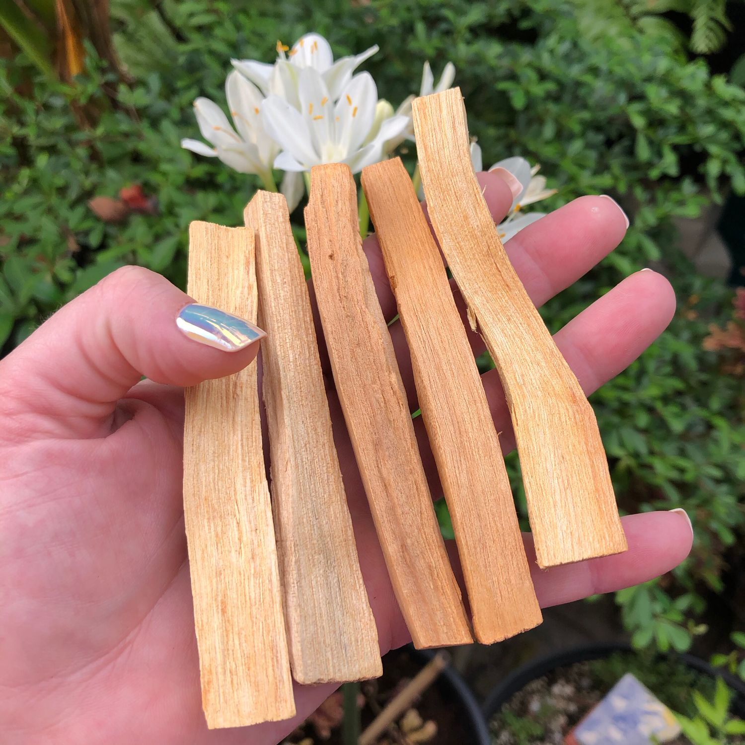 PALO SANTO - STICK