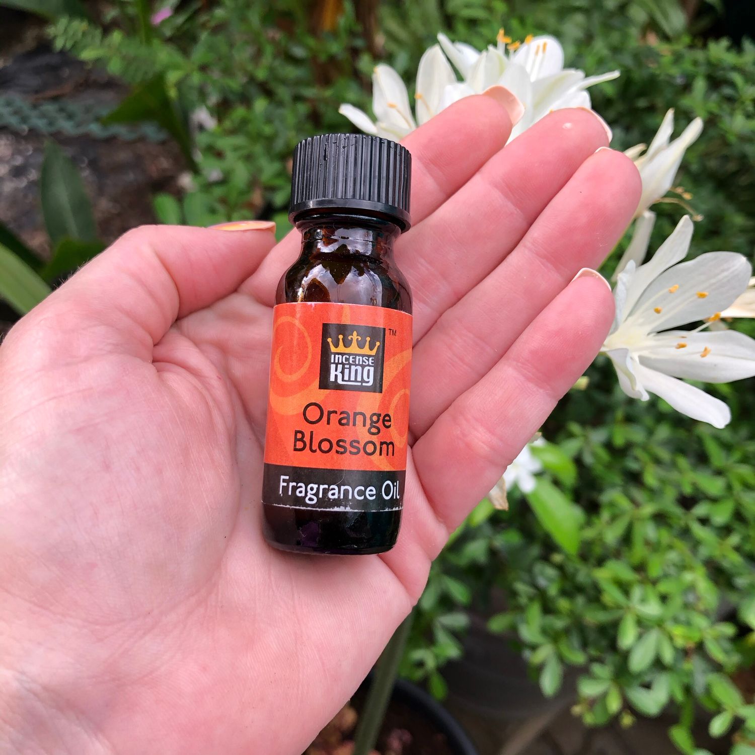 ORANGE BLOSSOM - FRAGRANCE OIL - 15ml