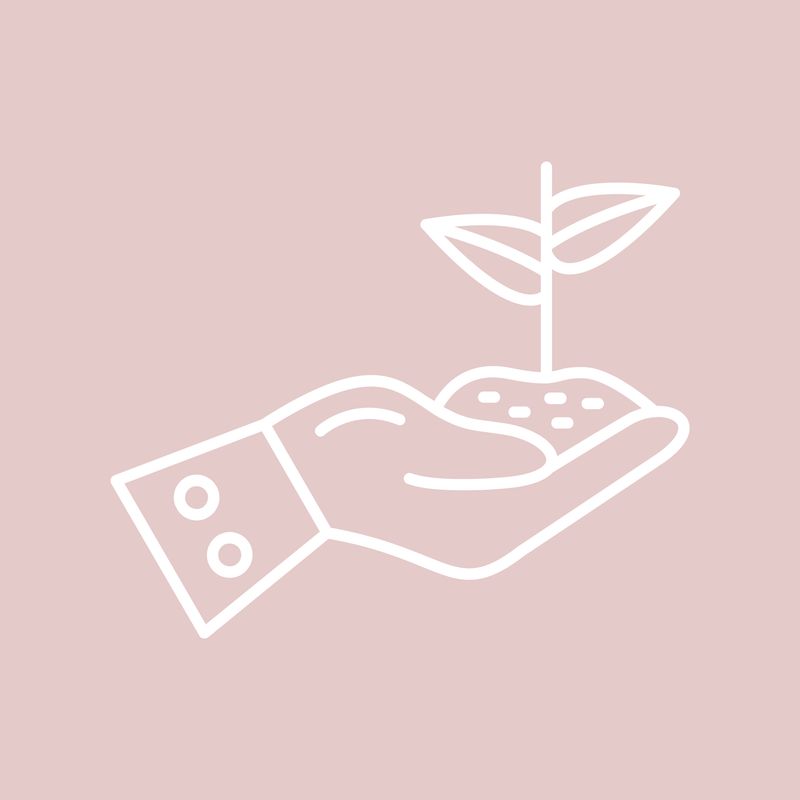 Starting over? New Beginnings &amp; Transformation