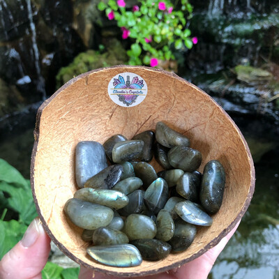 LABRADORITE - Tumbled Stone - Medium