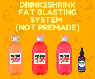 FAT BLASTER SYSTEM