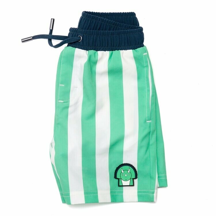 Spike the Dinosaur  - Swim shorts