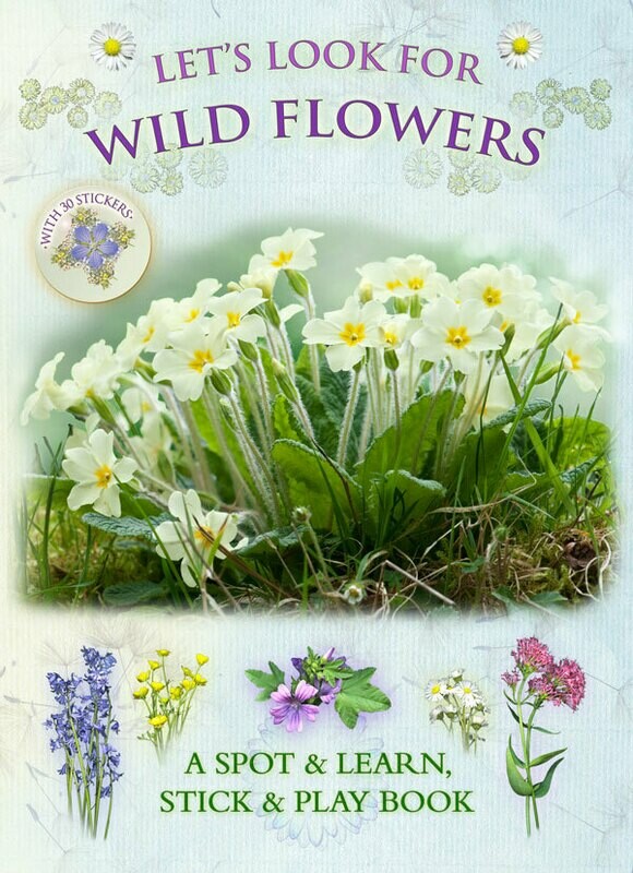 Let’s Look for Wild Flowers