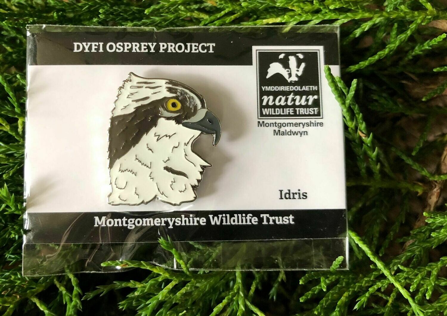 Pin Badge - Idris