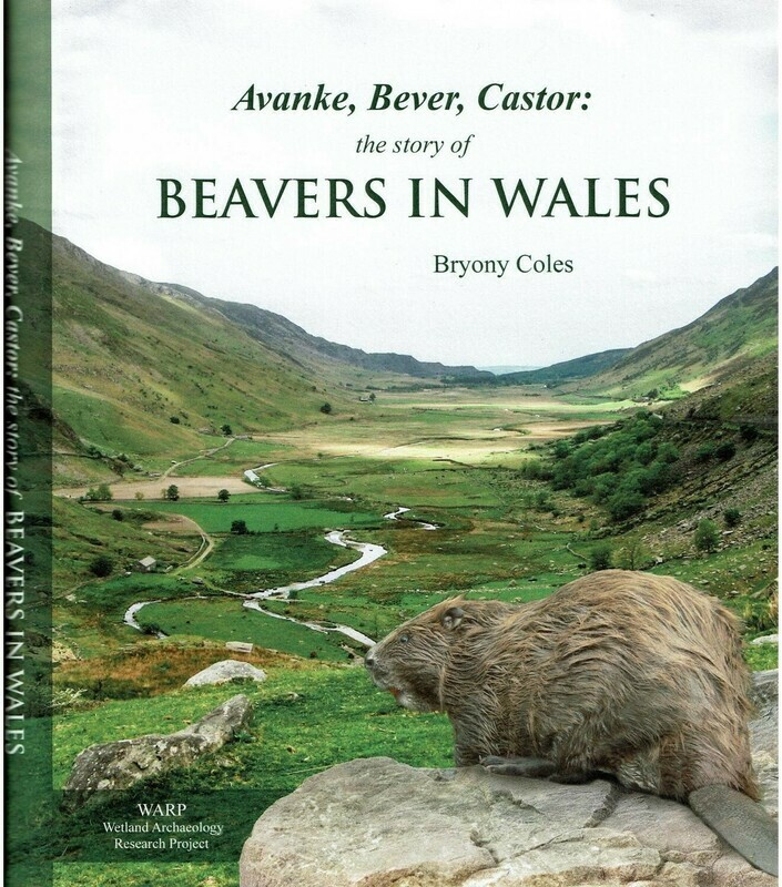 Beavers in Wales