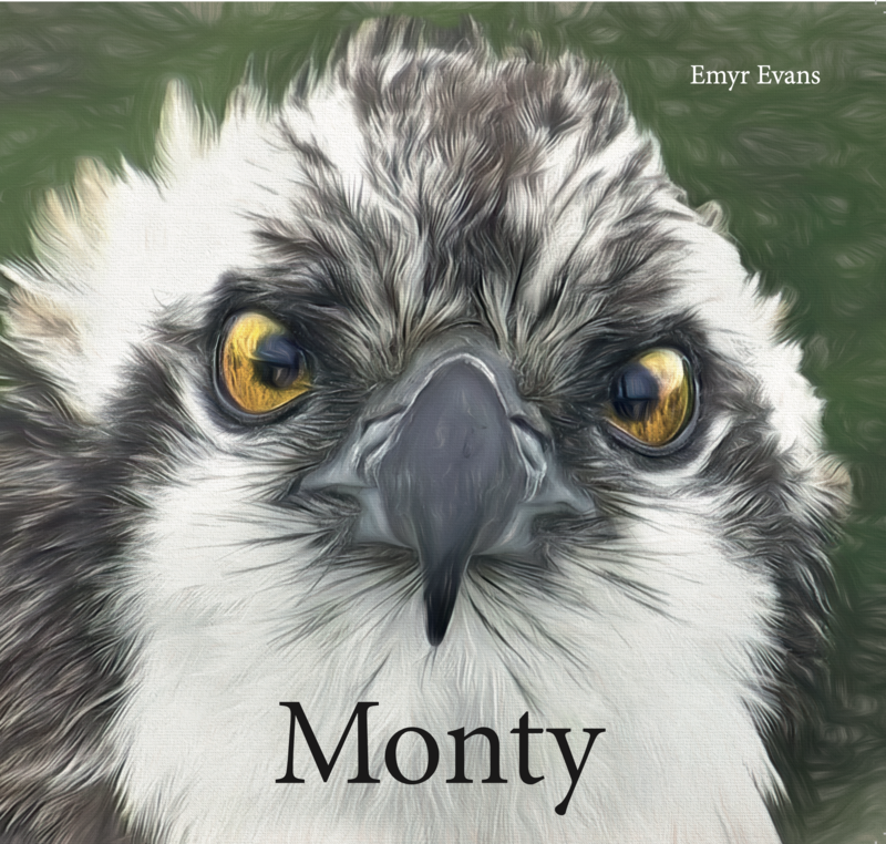 Monty The Book (NOT SIGNED)