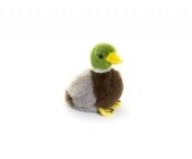 Mini Mallard Soft Toy