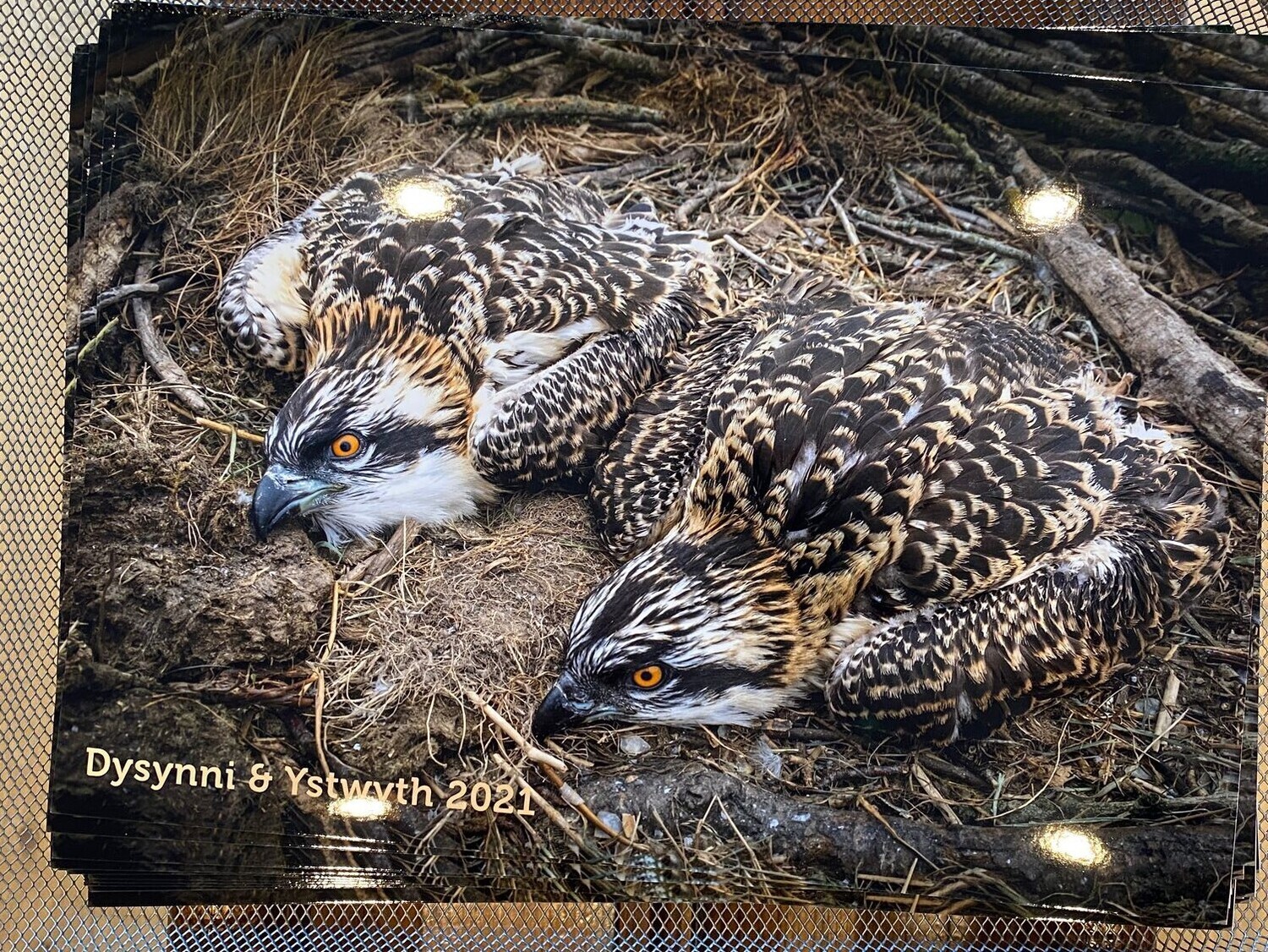 Dysynni and Ystwyth Print 2021