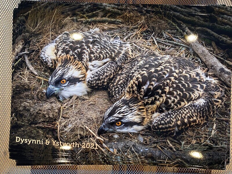Dysynni and Ystwyth Print 2021