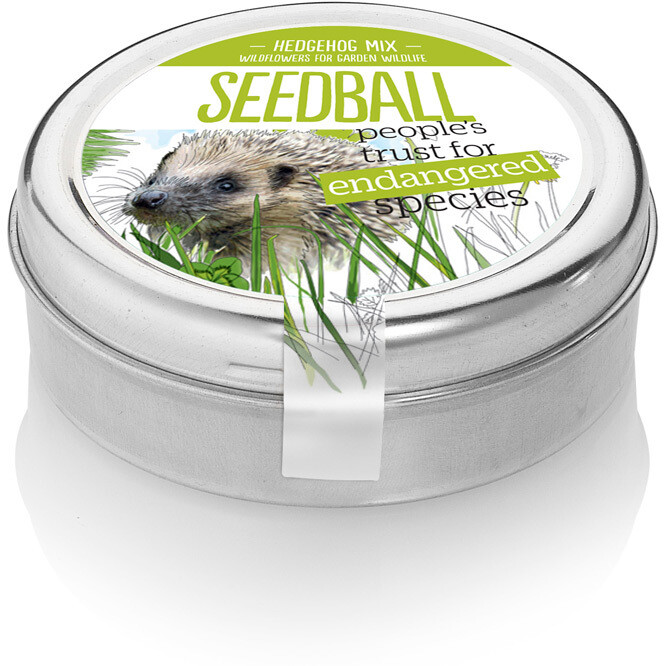 Seedball Tin - Hedgehog Help