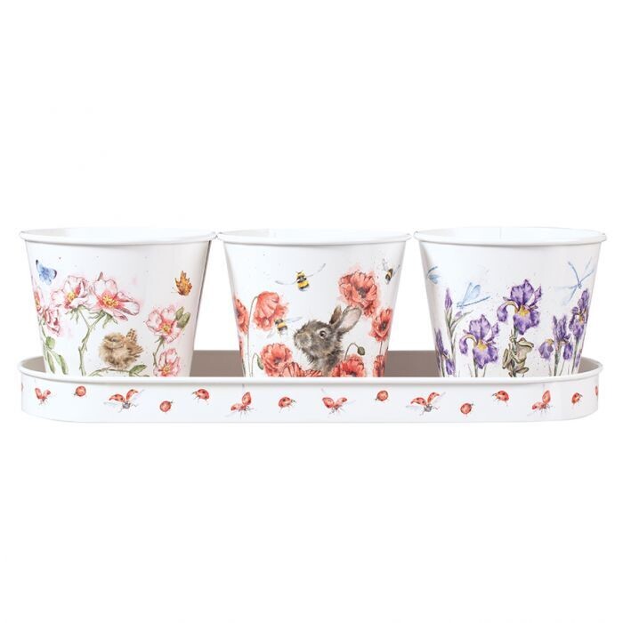 Wrendale-Herb Pots and Tray