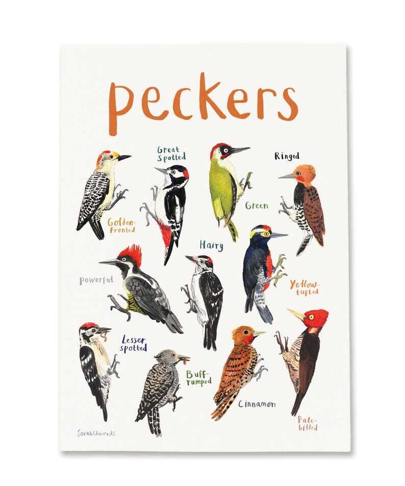 Sarah Edmonds- Peckers Print