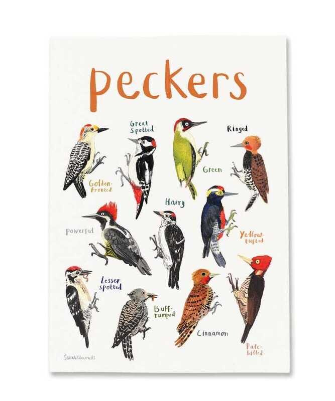 Sarah Edmonds- Peckers Print