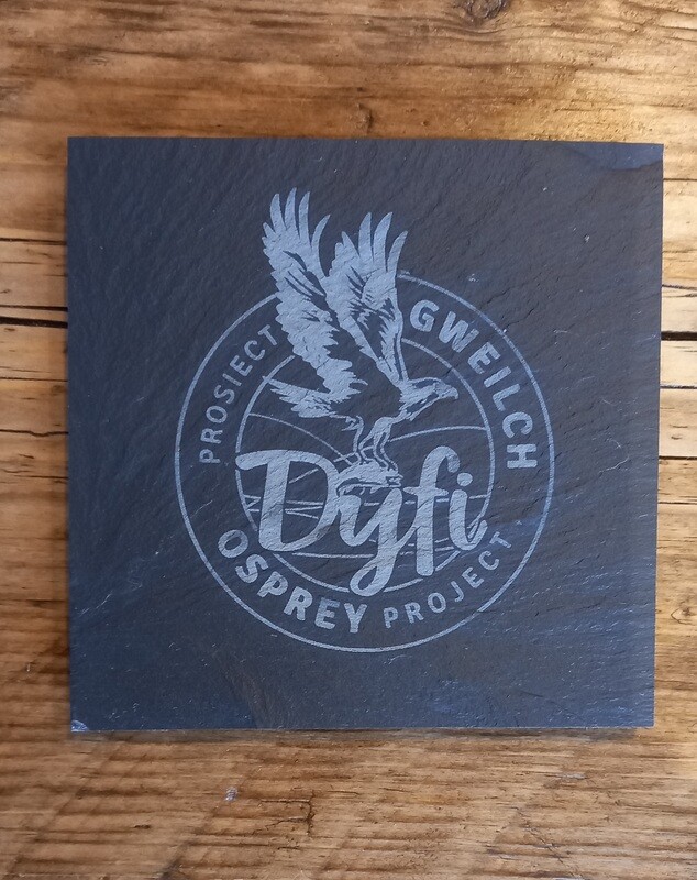 Dyfi Osprey Logo Slate Coaster