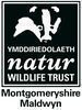 Montgomeryshire Wildlife Trust's store