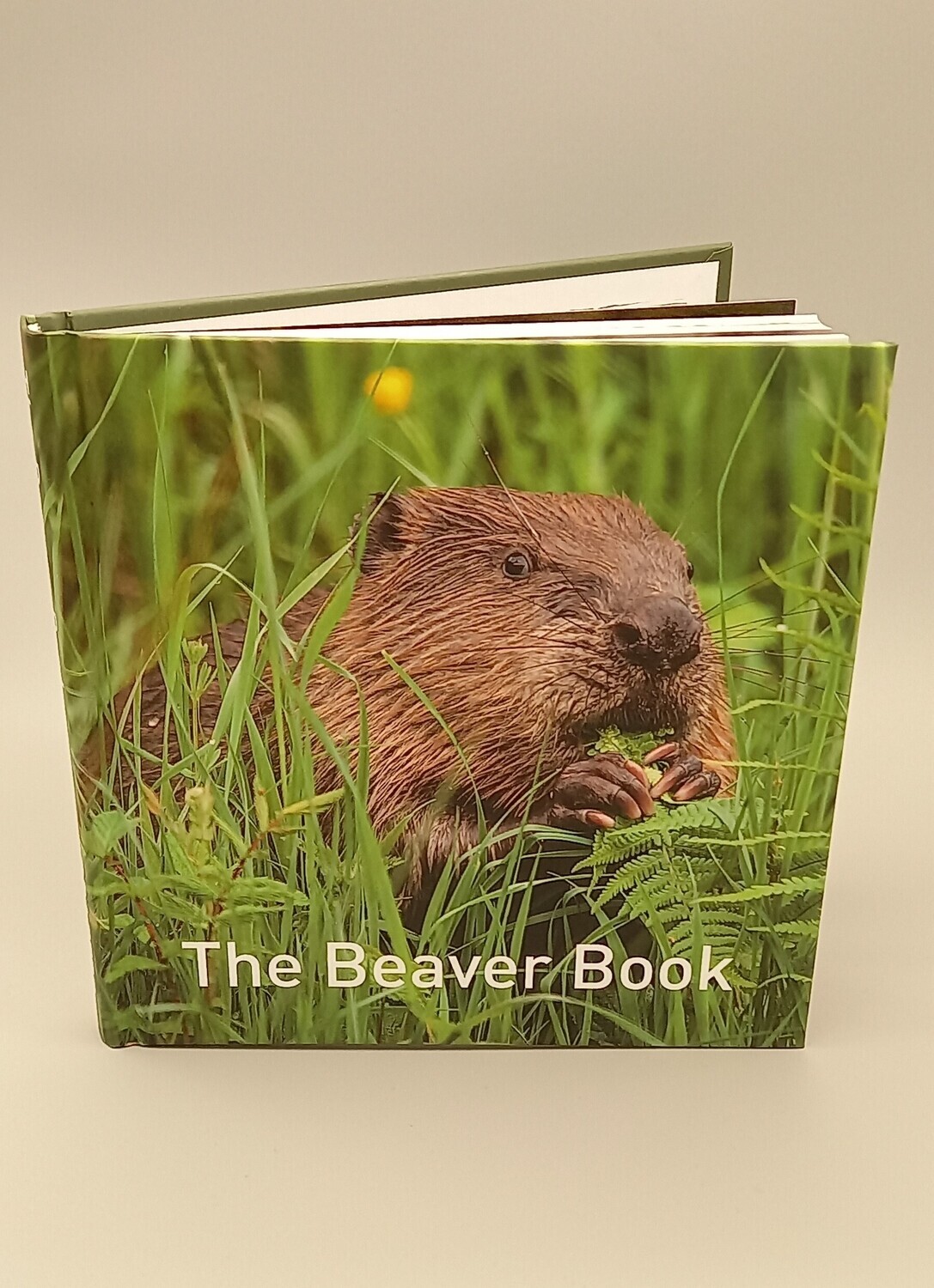 The Beaver Book