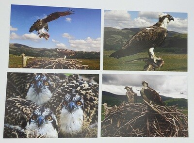 DOP Postcards - Set of four