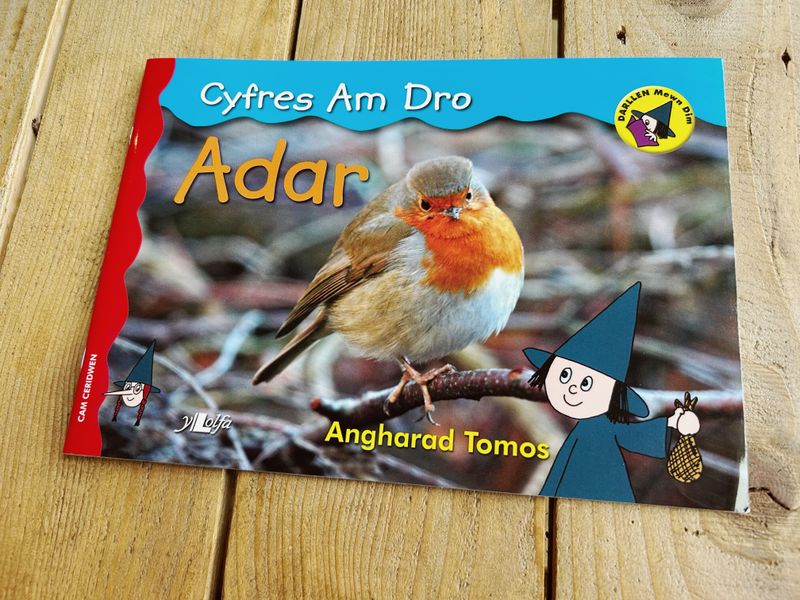 Adar (Cyfres am Dro)