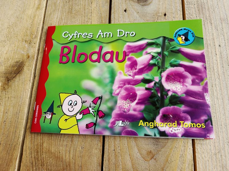 Blodau (Cyfres am Dro)