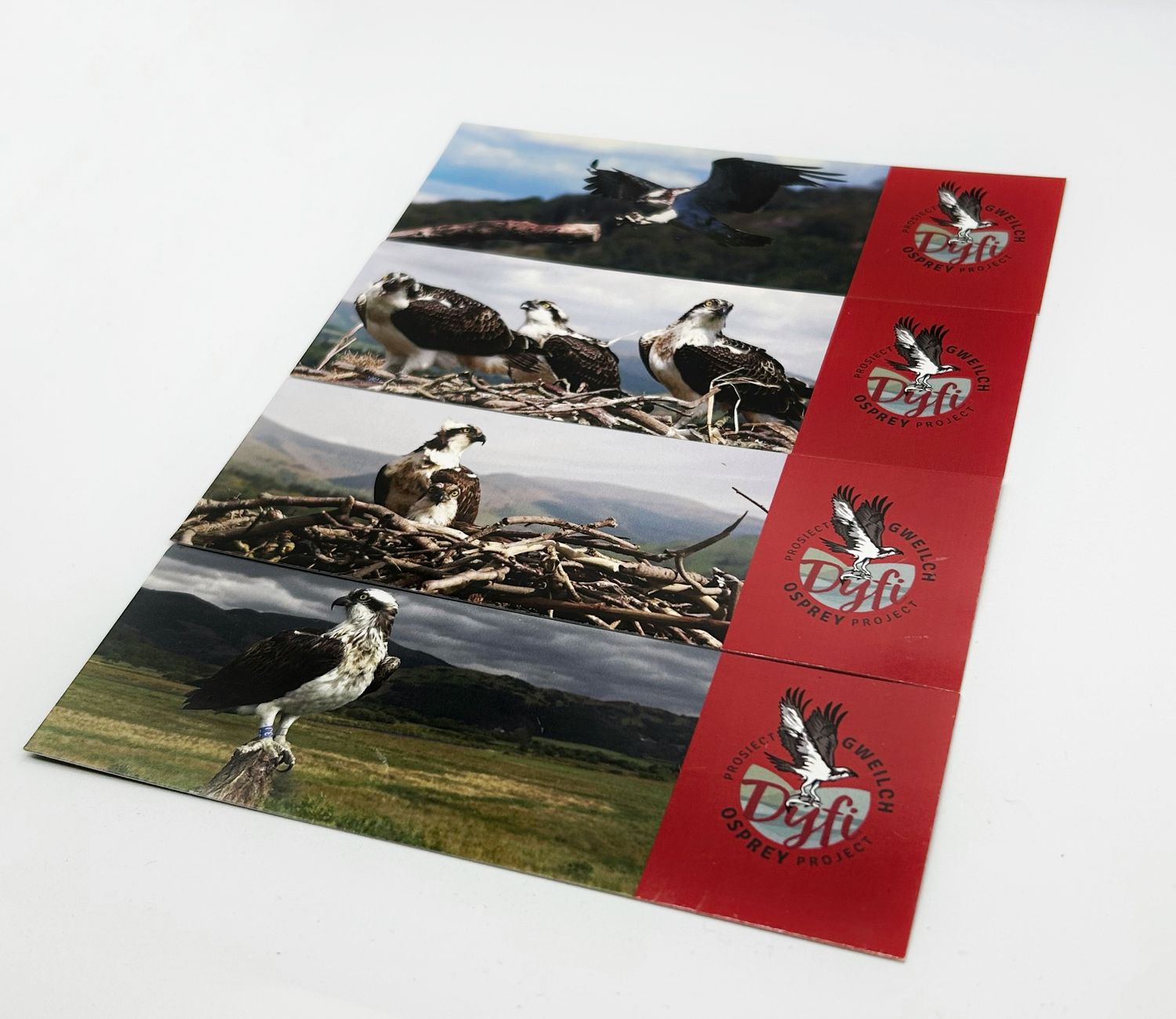 Set of 4 DOP Bookmarks