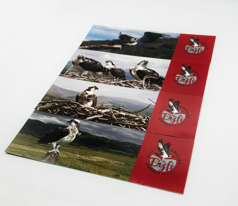 Set of 4 DOP Bookmarks