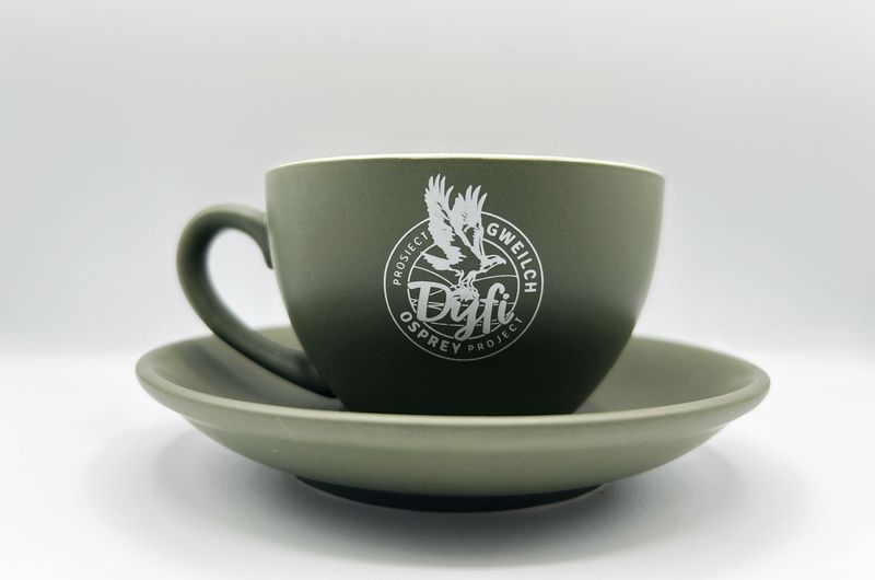 Dyfi Osprey Project Branded Cup &amp; Saucer Matt- Slate/Sage