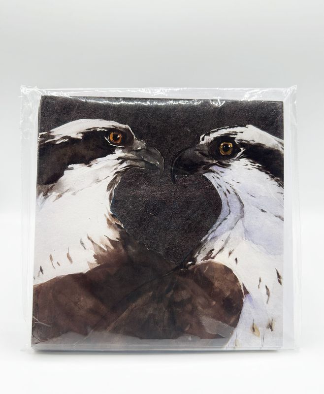 Set of 6 Osprey cards
