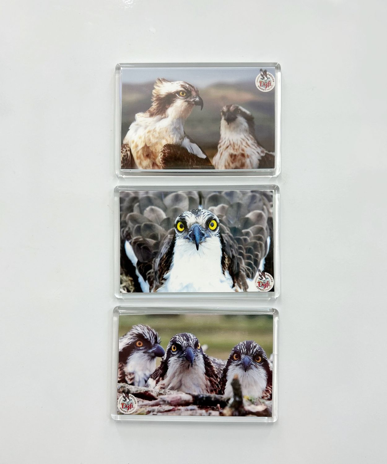 Set of 3 Osprey fridge magnets