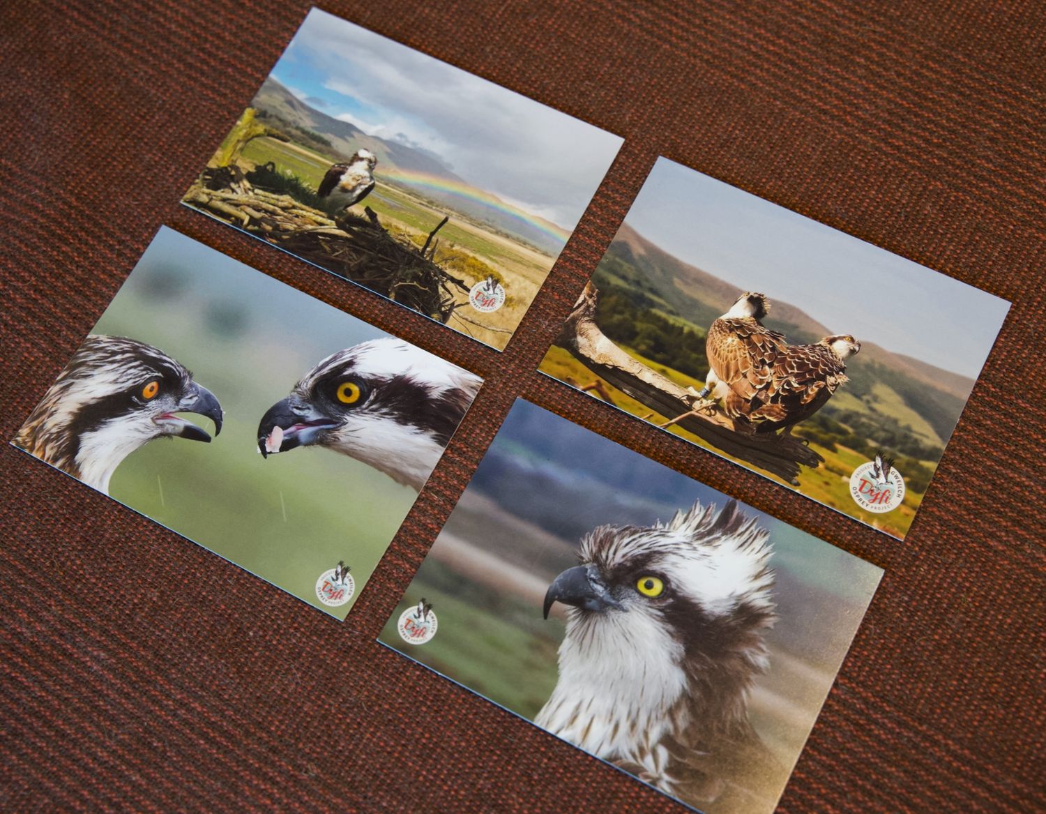 Set of 4 DOP postcards - 2025