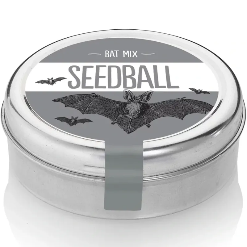 Seedball Tin - Bat Mix