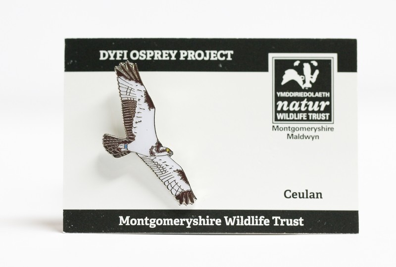 Pin Badge - Ceulan