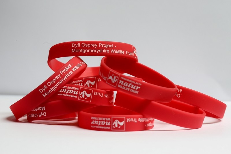 Wristband